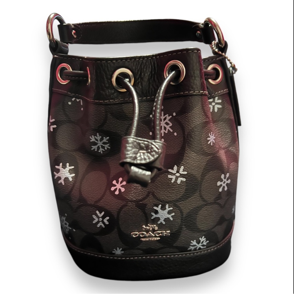 Coach Dempsey In Signature Canvas With Snowflake Print